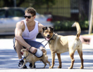 Kellan Lutz Spends Quality Time With His Dogs