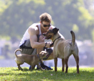 Kellan Lutz Spends Quality Time With His Dogs