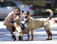 Kellan Lutz Spends Quality Time With His Dogs