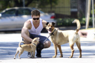 Kellan Lutz Spends Quality Time With His Dogs