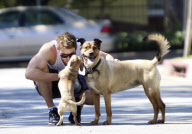 Kellan Lutz Spends Quality Time With His Dogs
