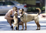 Kellan Lutz Spends Quality Time With His Dogs