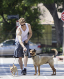 Kellan Lutz Spends Quality Time With His Dogs