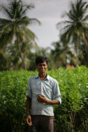 Silk production - from worm to catwalk, southern India - 2010