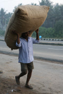 Silk production - from worm to catwalk, southern India - 2010