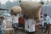 Silk production - from worm to catwalk, southern India - 2010