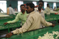 Silk production - from worm to catwalk, southern India - 2010