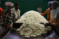 Silk production - from worm to catwalk, southern India - 2010
