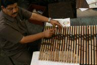 Silk production - from worm to catwalk, southern India - 2010