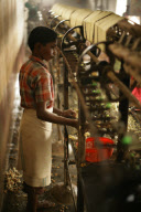 Silk production - from worm to catwalk, southern India - 2010