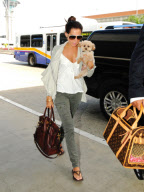 Ashley Tisdale and Pooch Fly Out