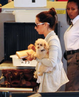 Ashley Tisdale and Pooch Fly Out