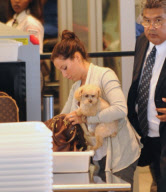 Ashley Tisdale and Pooch Fly Out