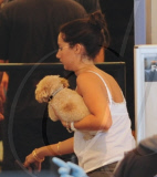 Ashley Tisdale and Pooch Fly Out