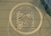 Two crop circles featuring the face of Jesus appear in fields either side of a motorway, near Hungerford, Berkshire, Britain - 04 Aug 2010