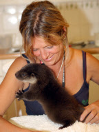 Baby otter named Gariant being hand-reared at the Secret World Wildlife Centre, Somerset, Britain - 08 Aug 2010