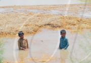 Las inundaciones de Pakistan obligan a intervenir a la comunidad internacional. La poblaci?n acarrea las pocas pertenencias que han podido salvar.