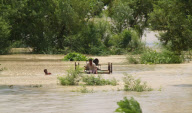 Las inundaciones de Pakistan obligan a intervenir a la comunidad internacional. La poblaci?n acarrea las pocas pertenencias que han podido salvar.