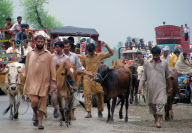 Las inundaciones de Pakistan obligan a intervenir a la comunidad internacional. La poblaci?n acarrea las pocas pertenencias que han podido salvar.