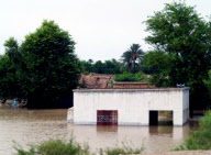 Las inundaciones de Pakistan obligan a intervenir a la comunidad internacional. La poblaci?n acarrea las pocas pertenencias que han podido salvar.