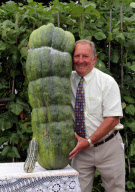 Man grows massive 112lb (51kg) marrow, Tylacoch, Llanharry, south Wales - 17 Aug 2010