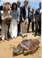 ROYALS: Queen SOFIA of Spain exploring Greece on a donkey