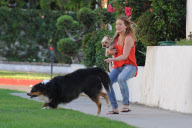 *EXCLUSIVE* Hillary Duff : Newlywed Dog Walker