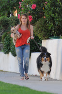 *EXCLUSIVE* Hillary Duff : Newlywed Dog Walker