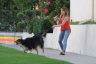 *EXCLUSIVE* Hillary Duff : Newlywed Dog Walker