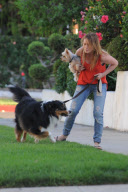 *EXCLUSIVE* Hillary Duff : Newlywed Dog Walker