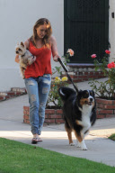 *EXCLUSIVE* Hillary Duff : Newlywed Dog Walker
