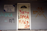 NEW ORLEANS: FIVE YEARS AFTER HURRICANE KATRINA