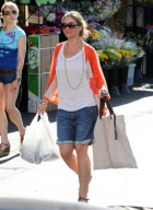 Rebecca Gayheart Grocery Shops
