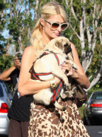 Paris Hilton out and about, Los Angeles, America - 23 Aug 2010