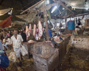 Mumbai's shocking meat market - Crawford Market (or Phule Market)