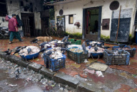 Mumbai's shocking meat market - Crawford Market (or Phule Market)