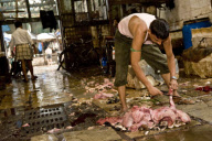 Mumbai's shocking meat market - Crawford Market (or Phule Market)