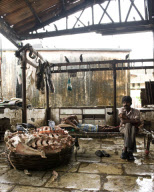 Mumbai's shocking meat market - Crawford Market (or Phule Market)