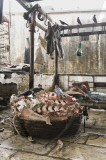 Mumbai's shocking meat market - Crawford Market (or Phule Market)