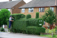 Jack Fisher with his train-shaped hedge, Retford, Nottinghamshire, Britain - 23 Sep 2010