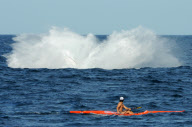 An adult humpback whale (Megaptera novaeangliae) breaching off the coast of Sydney, Australia - 28 Sep 2010