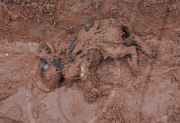 Reservoir containing toxic mud from the nearby Alumina factory leaks into nearby towns and villages, Hungary - 05 Oct 2010