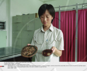 CHINA: Cadaver "plastination"