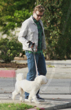 The Mentalist star SIMON BAKER and his wife REBECCA RIGG walking their pooch named HAPPY