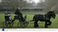 Prince Philip driving a carriage in the grounds of Windsor Castle, England, Britain - 23 Feb 2009