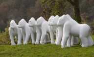 Life-size gorilla sculptures, Bristol, Britain - 02 Nov 2010