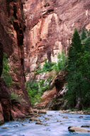 Zion National Park
