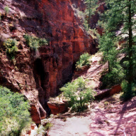 Zion National Park