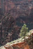 Zion National Park