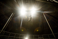 Feature: Circus life 